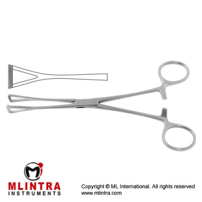 Duval Intestinal and Tissue Grasping Forceps Narrow Jaw Stainless Steel, 20.5 cm - 8" Duval Intestinal and Tissue Grasping Forceps Narrow Jaw Stainless Steel, 20.5 cm - 8"